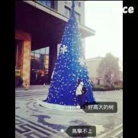 我家的马大可 么么哒@ 不强大起来难道还指望