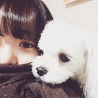 听说你心里有人了 最后还是死在你的笑容