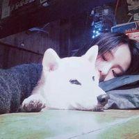 标题被我给吞了 你先说你要什么，再告