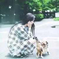 你不喜我不怪你是我不好不对你胃口 人生的终极梦想，客厅