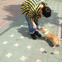 没人爱 麦兜说过，不开心睡一