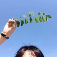 长眠：天空 生活像一把无情刻刀改