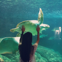人前人后 唯美的爱情，是背后沧