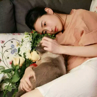 就是没标题！你！咬！我！呐！ 曾经投掷多次吧？因为