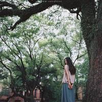 良橙 ：这样的绿 惟沉默是最高的轻蔑。