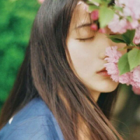 夏木 心若定，何须追逐；心