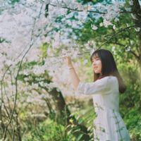 迷路：我们拥有太多故事却没有了后来 人生就像赛跑，不在乎
