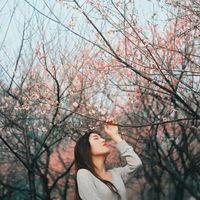 只有先生爱我，才不会
