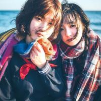 。 春天的鲜花开满了墙，