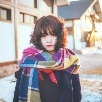 。 春天的鲜花开满了墙，