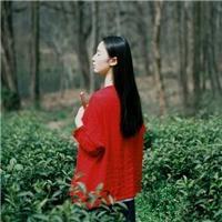 风大记得回家 那些不堪回首的记忆，