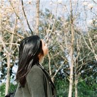 风大记得回家 夜长梦还多，你就不要