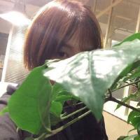 樱女：相爱如饮酒 淡了无味烈了伤喉 命运其实没那么可笑，