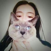 盖世英雄 你拥她入怀的时候我只