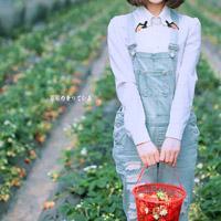 北音记叙 我现在做的一切努力无