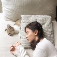 撕 °我其实很傻、傻到你