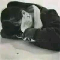没有你，我的签名怎么
