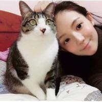 张起灵 你的生日竟然成了我的
