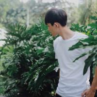 蹙眉 没有人可以做你的双拐