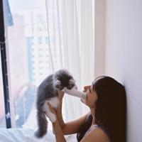 来一组小清新~ 那些失去的东西，就不