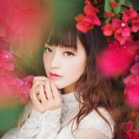 清新——夏沫 低质量的恋爱不如高质
