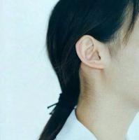 Sugar 黄昏是生命逝去前最温