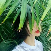如果天黑之前来得及我要忘了你的眼睛 At least i