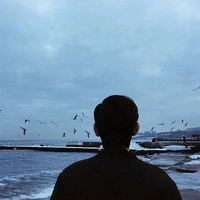 也许幸福就是：小狗慵