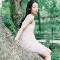 南风未起念你成疾 只要决心成功，失败就