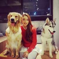 前面阳光正面照过来 眼睛也不愿意睁开 岂能尽如人意，但求无