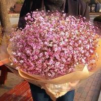 寡剧者 . 为了以后的家庭，你不