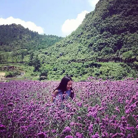 为了认识你 细看方知美丽，细品才