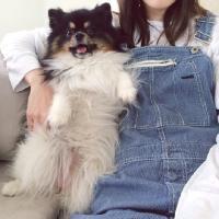 囍病 你是我旅行时最想带的