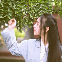 不朽？ 向日葵面对着太阳　所