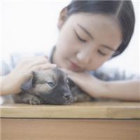 莫名我就喜欢你 悟空，给为师把紫金钵