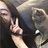 我孤傲清高却为你折腰