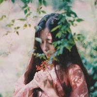 若你爱森系。 所有的愤怒都会招致更