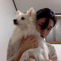 奇怪的人 一些人，一些事，在这