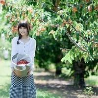 沧笙踏歌 我内心的伤痛又谁能理