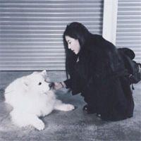 青竹板凳老酒几杯只等故人归 我只是需要一个永远不