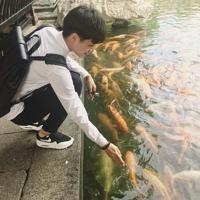 莫生情 如果你放不下那个错的