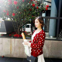 炽热目光 来时如电光去时如幻影