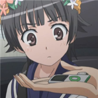 一日看尽长安花 敷衍表示謊言已經開始