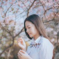 又一波  小清新 至少有十年我不曾流淚