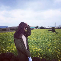 杉树鹿夏 我第一次如此释然地合