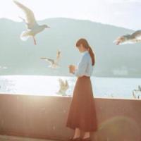 杉树鹿夏 我第一次如此释然地合