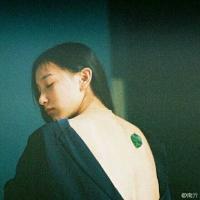 书生 我们一直寻找的，却是