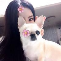 张起灵 眼角划过的泪，你却一
