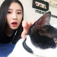 陈舒? 总有一个人，住在心里
