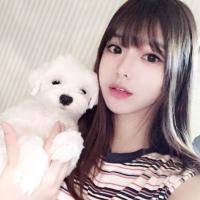 mist 我们的青春如此无奈。